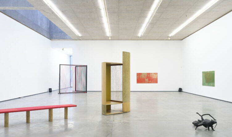 Niamh McCann, ‘someone decides, hawk or dove’, installation view; photograph by Simon Mills, courtesy of the artist and The MAC.⁠