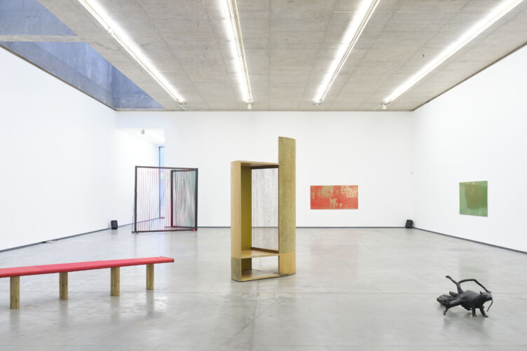 Niamh McCann, ‘someone decides, hawk or dove’, installation view; photograph by Simon Mills, courtesy of the artist and The MAC.⁠