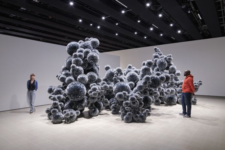 Installation view, Tara Donovan, ‘When Forms Come Alive’; photograph by Jo Underhill, courtesy of the Hayward Gallery.⁠