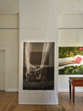 Pauline Rowan, ‘Under a Vaulted Sky’, 2024, installation view, The Dock, May 2024; photograph by Ros Kavanagh courtesy of the artist and The Dock.⁠