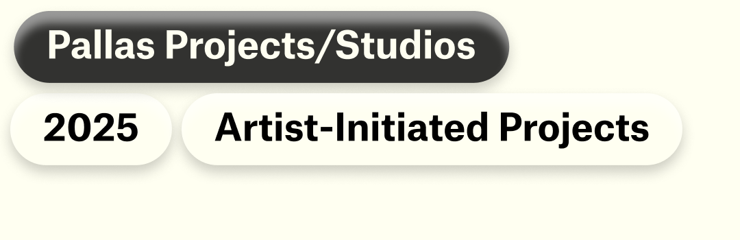 Artist-Initiated Projects 2025 at Pallas Projects/Studios