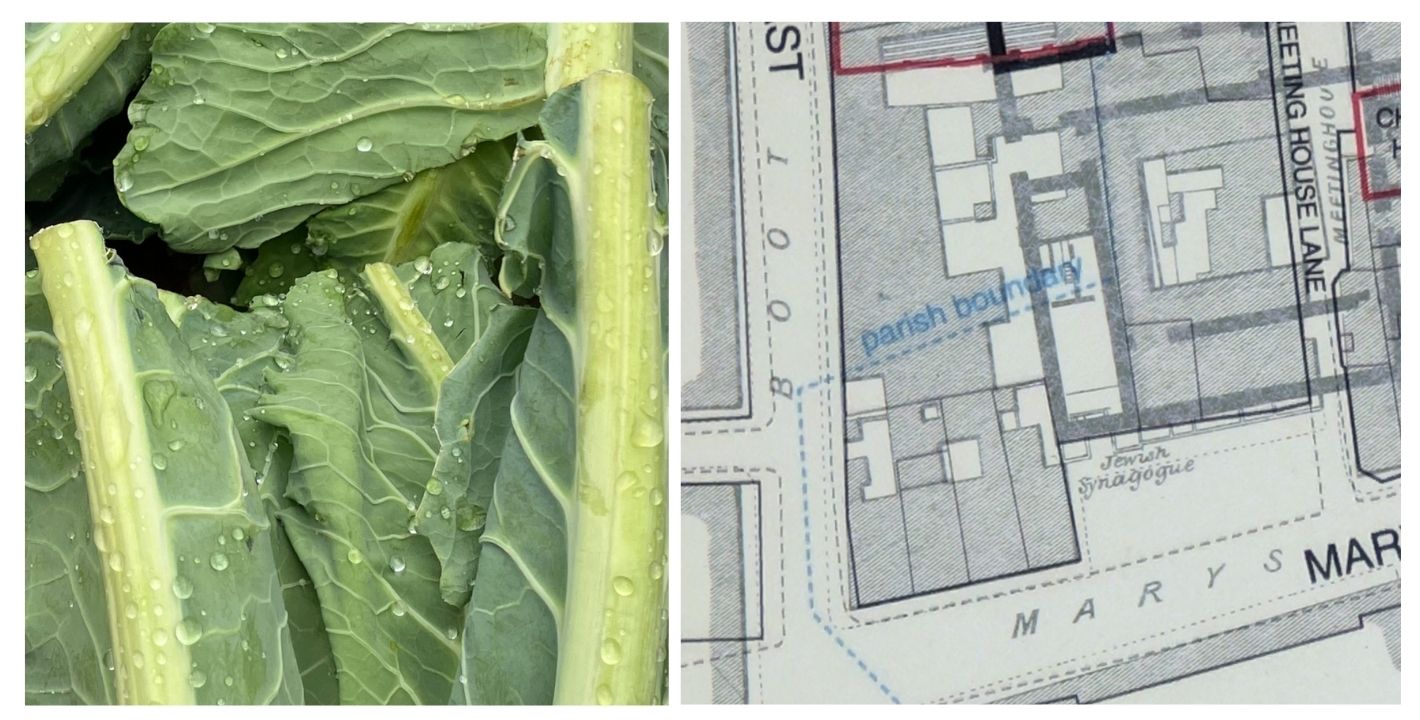 Residues of The Garden of Eden | Joanne Reid and Ben Weir at The Complex