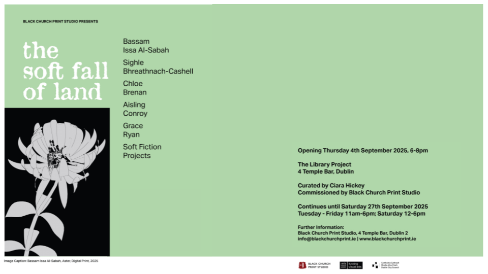 the soft fall of land | Group Exhibition at The Library Project