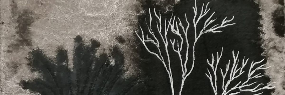 Moving Mountains | Greta Usaite at the An Táin Arts Centre