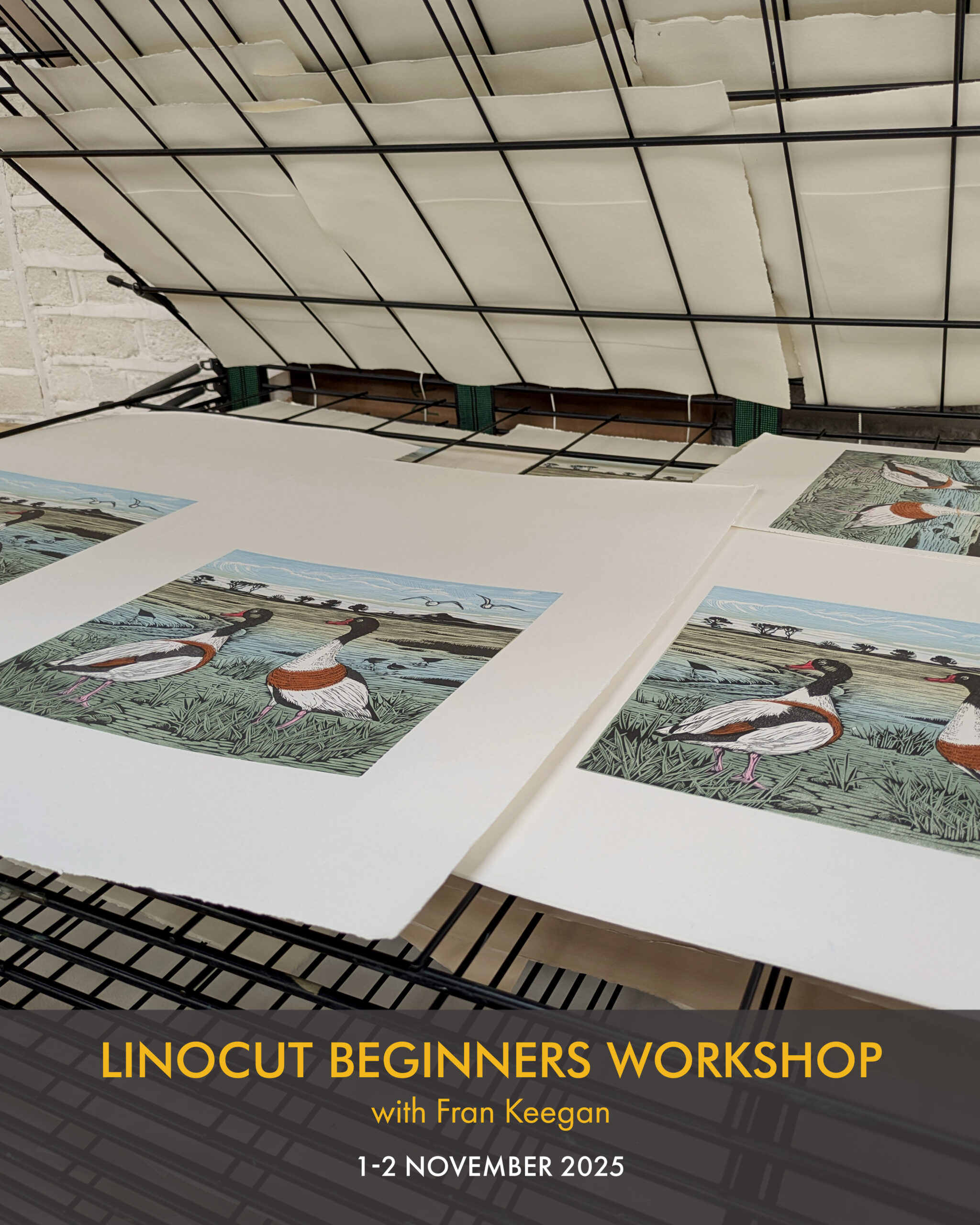 Workshop | Beginners Linocut with Fran Keegan at Graphic Studio Dublin