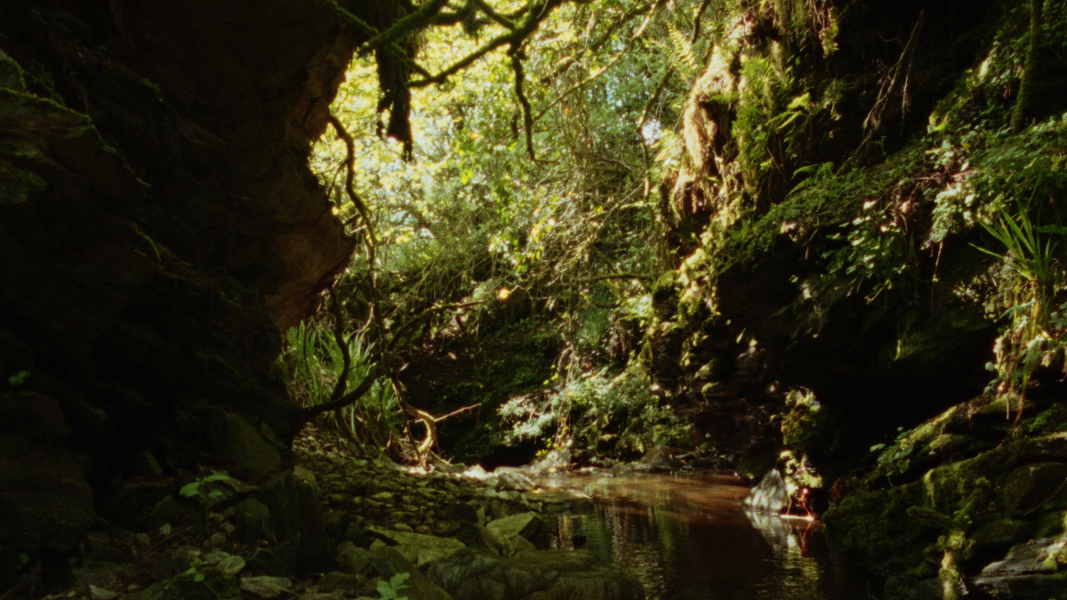 Pollanroe Burn | Emily McFarland at Void Art Centre