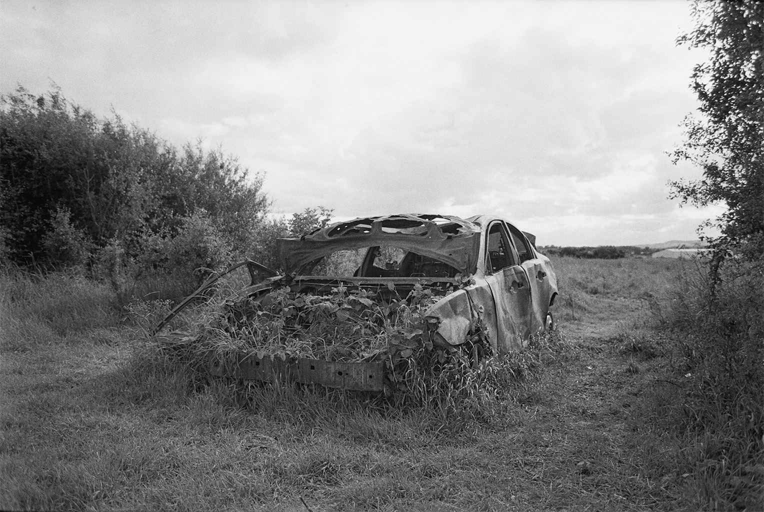 Where the Field Fails to Hold | Cian Lawler at Bagenalstown Community Garden