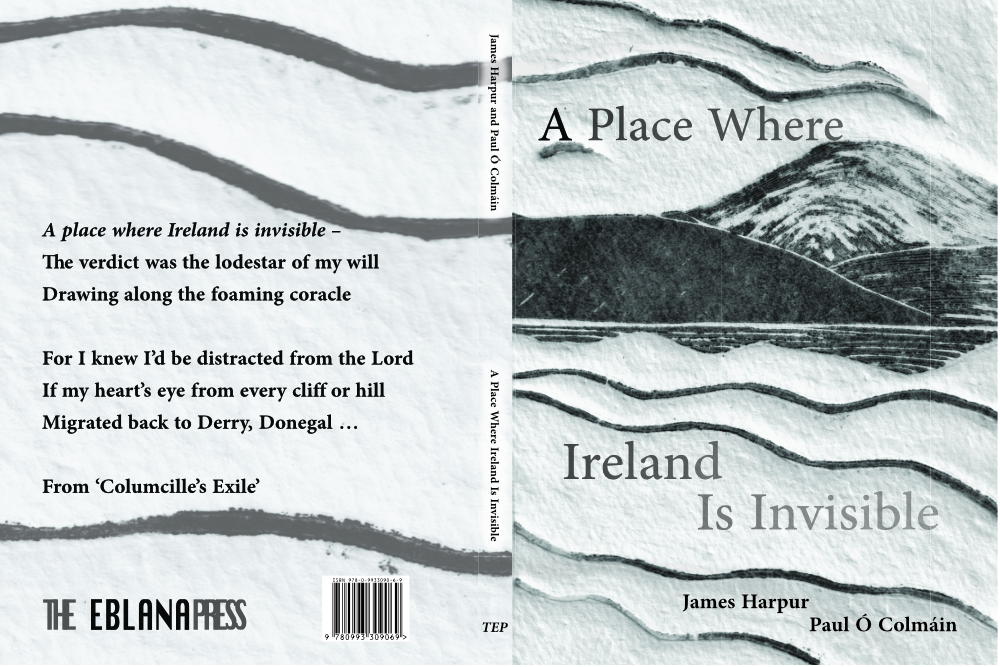 A Place Where Ireland Is Invisible | Book Launch at Working Artist Studios