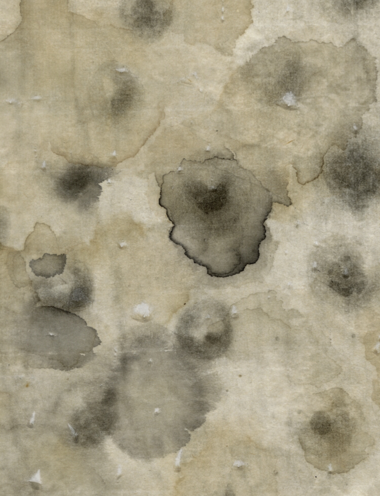 An Duanaire: visual poems of the dispossessed from Donegal to Dhaka | Oona Hyland at Cosmos Gallery, Dhaka