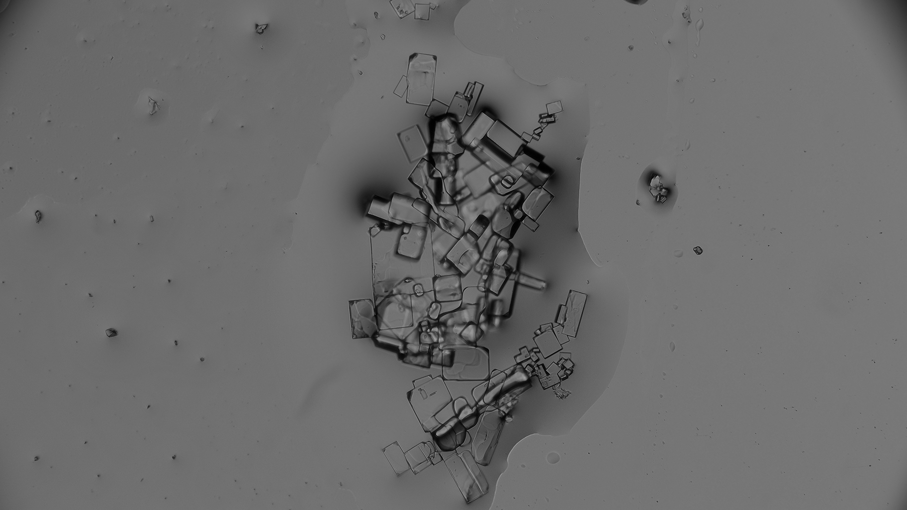 Rooted Utopias: our Future at Play | Group Exhibition at Wexford Arts Centre