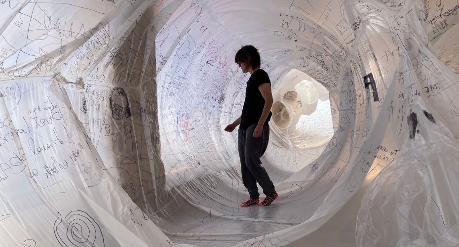 Metamorphosis | Olga Diego at UCD Newman Building