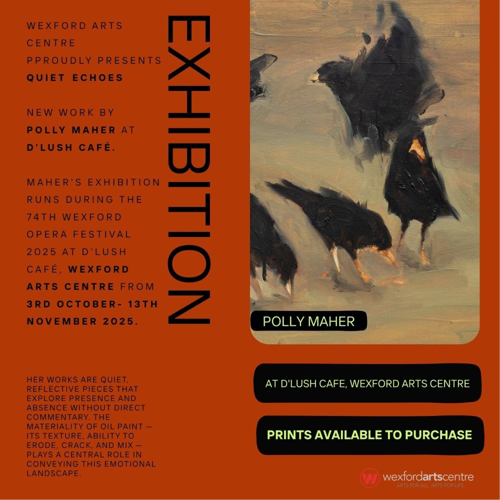 Quiet Echoes | Polly Maher at Wexford Arts Centre