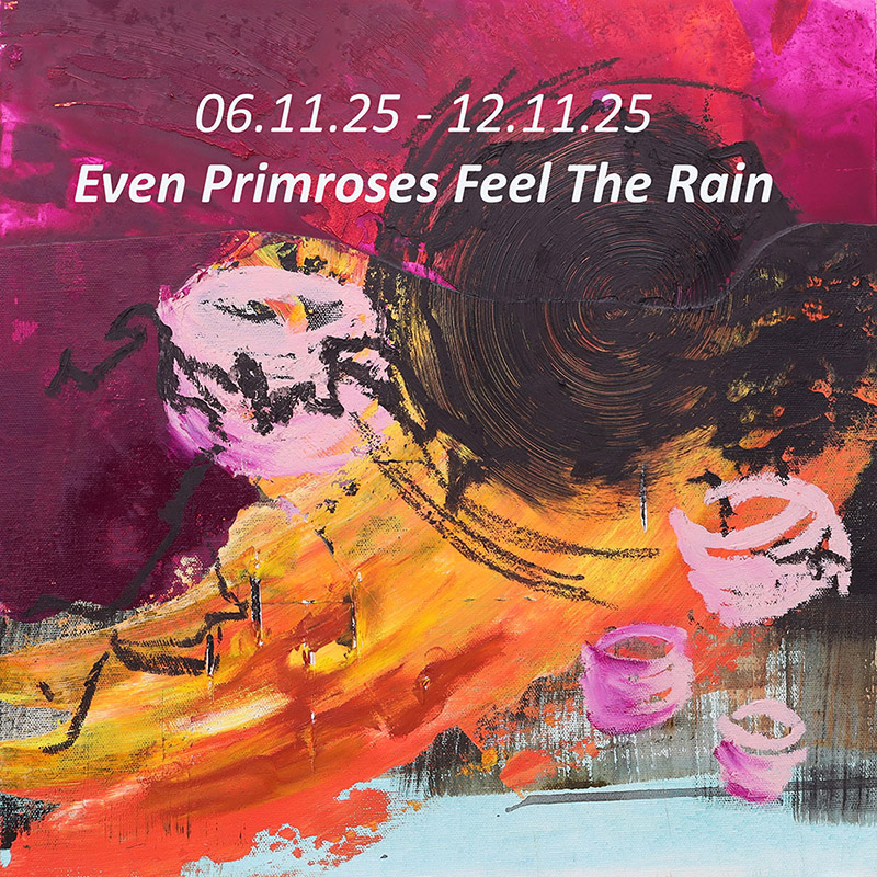 Even Primroses Feel The Rain | Emma Berkery at La Roche House