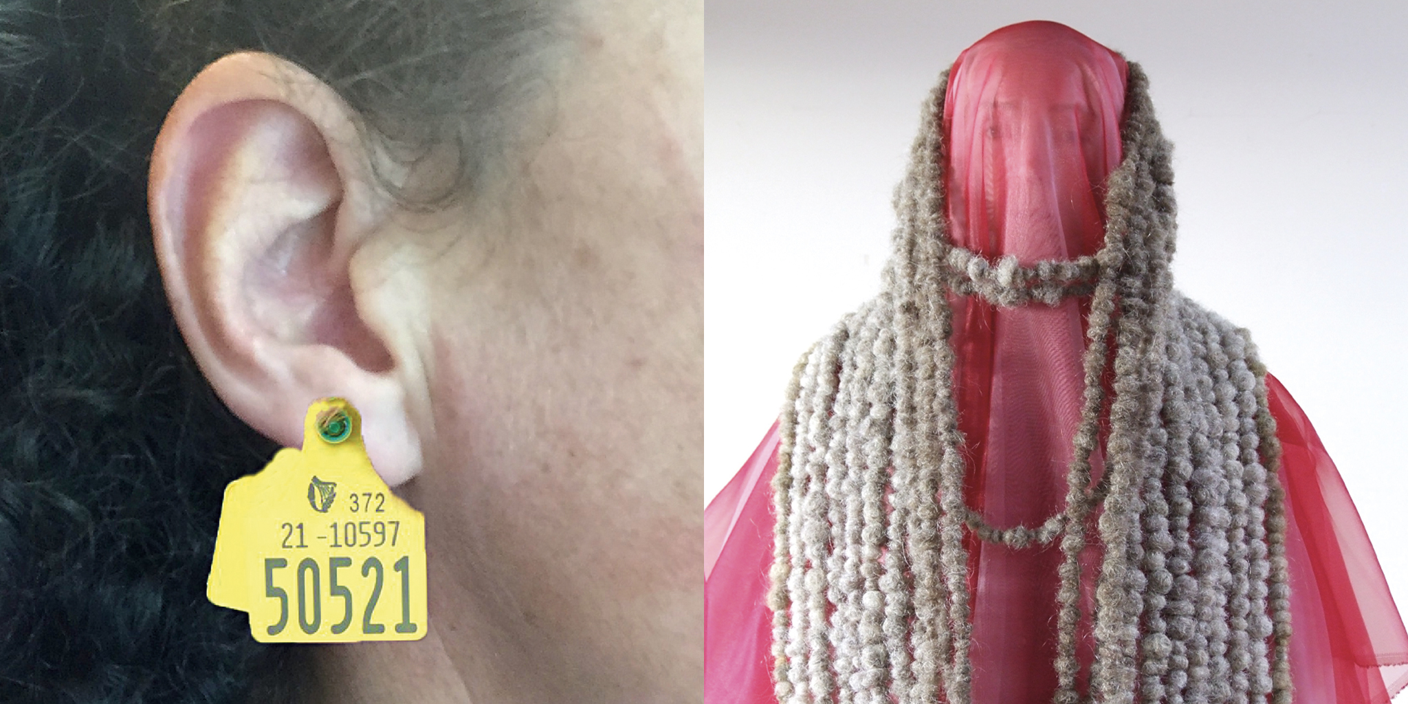 Beirt le chéile | Bernadette Cotter & Aíne Ryan at the Grilse Gallery