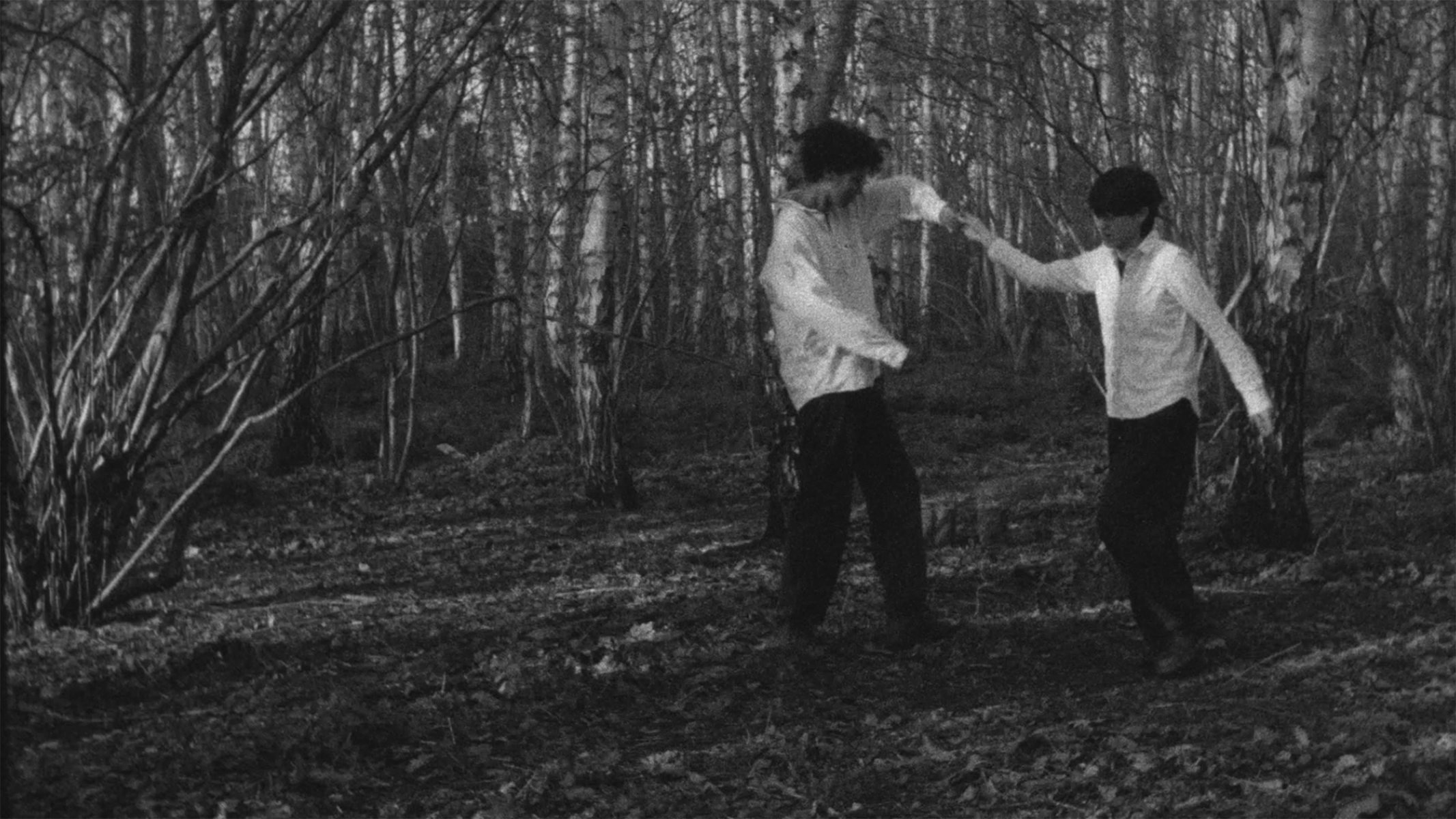 VAN Spotlight | Strange Lands Still Bear Common Ground