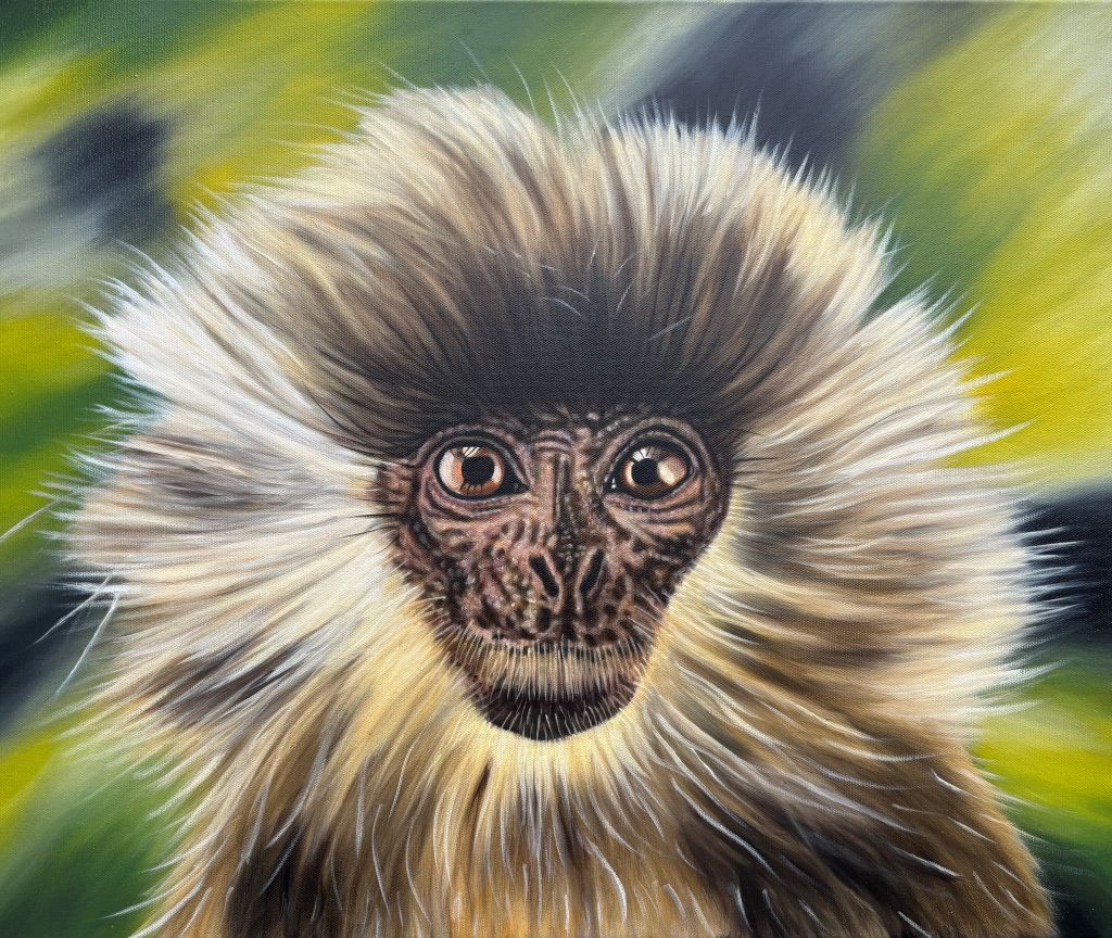 Winter Exhibition | Group Exhibition at Custom House Studios