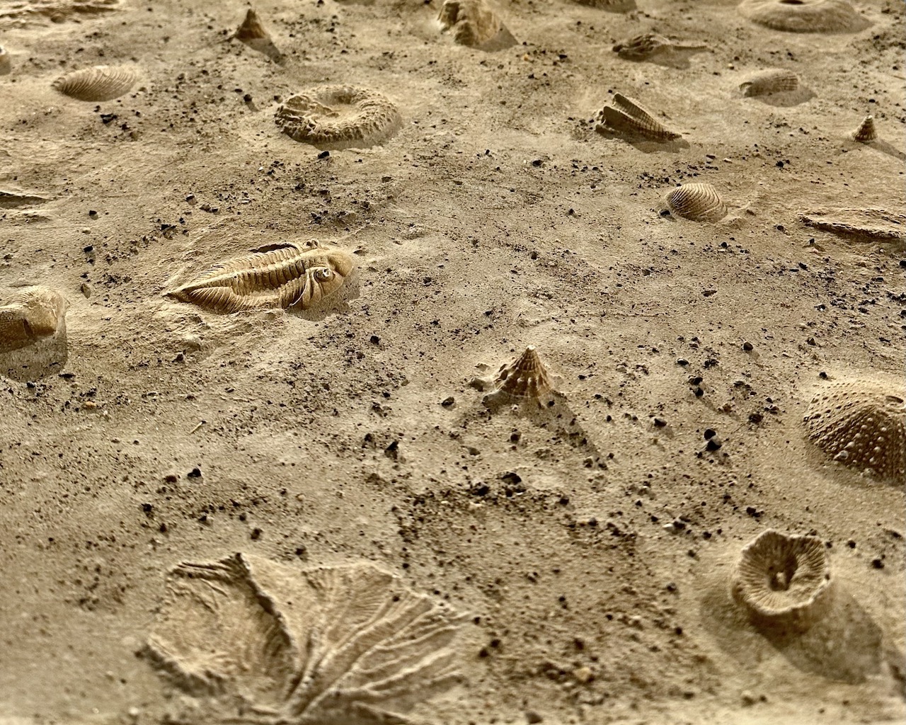STRATA - Sediments of Time | Bernie Colhoun at Leitrim Sculpture Centre