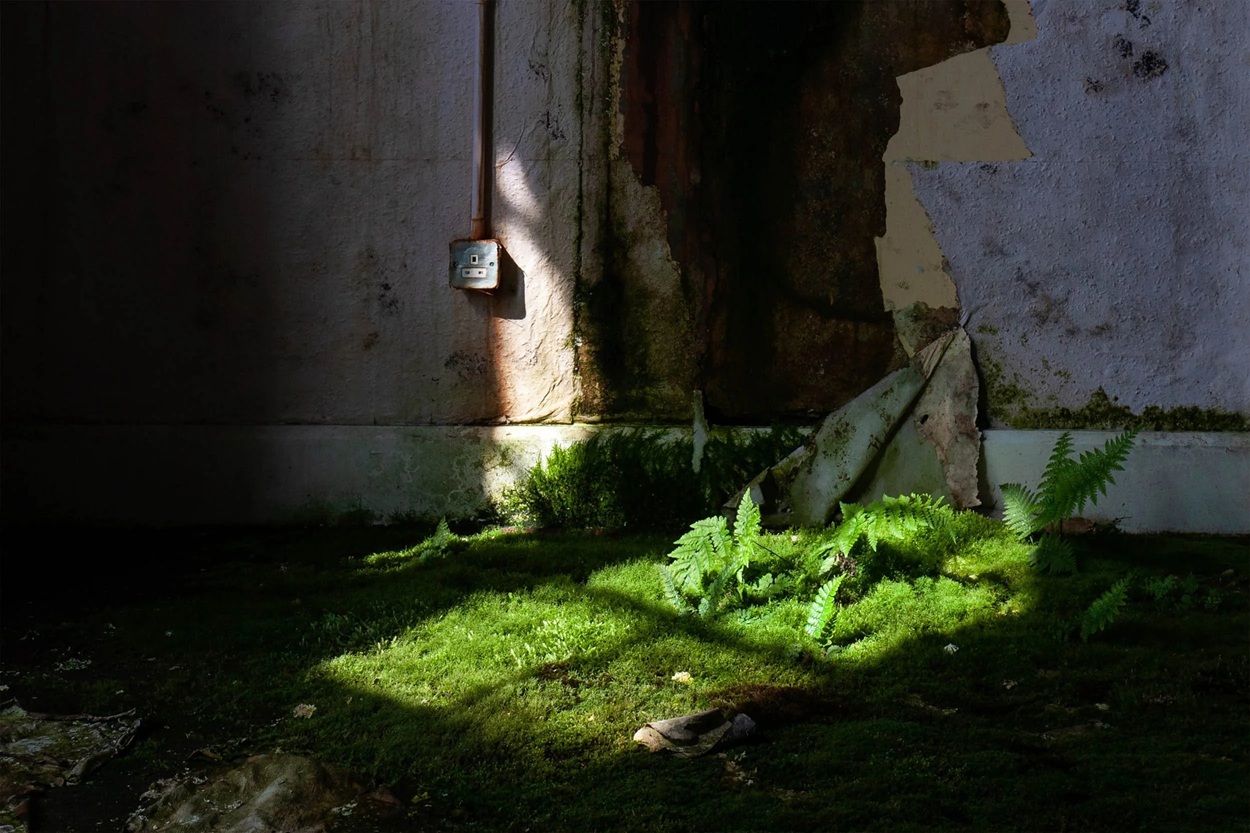 Walls of Containment | Panel Discussion at Presentation Arts Centre