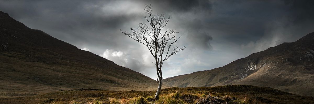 Dundalk Photographic Society 2026 | Group Exhibition at An Táin Arts Centre