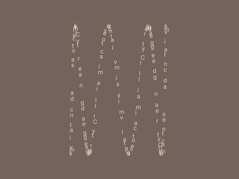 Panel Discussion | Climate Activism and Socially Engaged Art at Pallas Projects/Studio