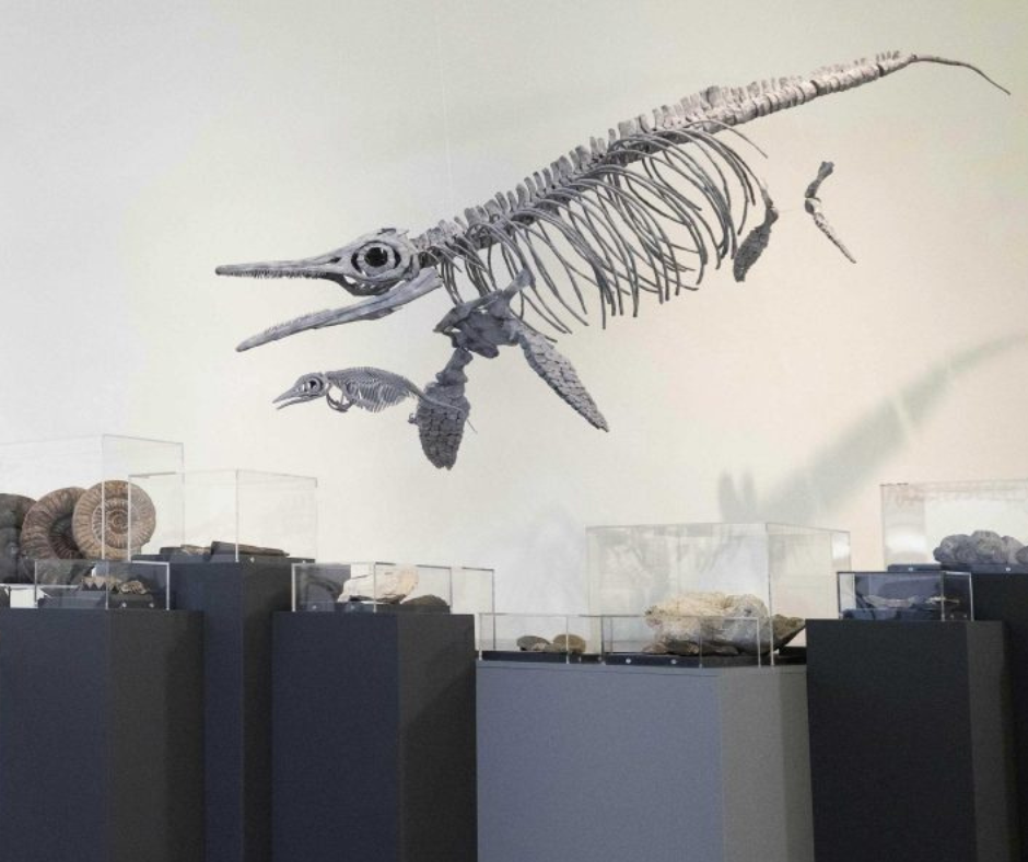 The Museum at Your Pace | Sensory-Friendly Mornings at The Glucksman