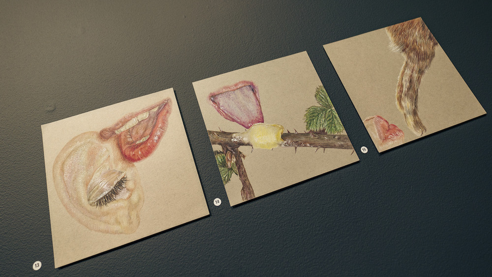 Let me tell you a story... | Emily McGardle at Townhall Arts Centre