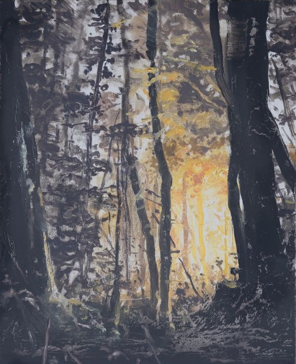 Don't Forget To Remember | David Smith at Ballina Arts Centre