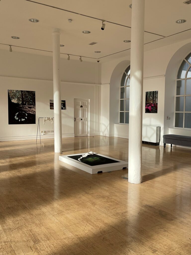 Ensoulment | Group Exhibition at Georgian Gallery, Ards Arts Centre