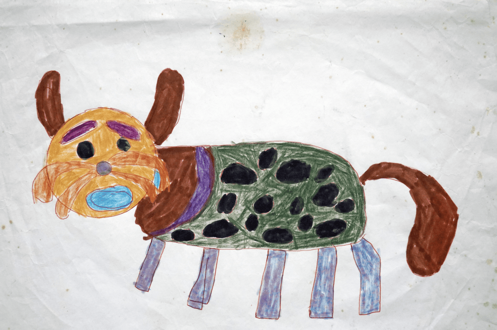 The Known and Unknown World | KCAT Exhibition at Esker Arts Centre