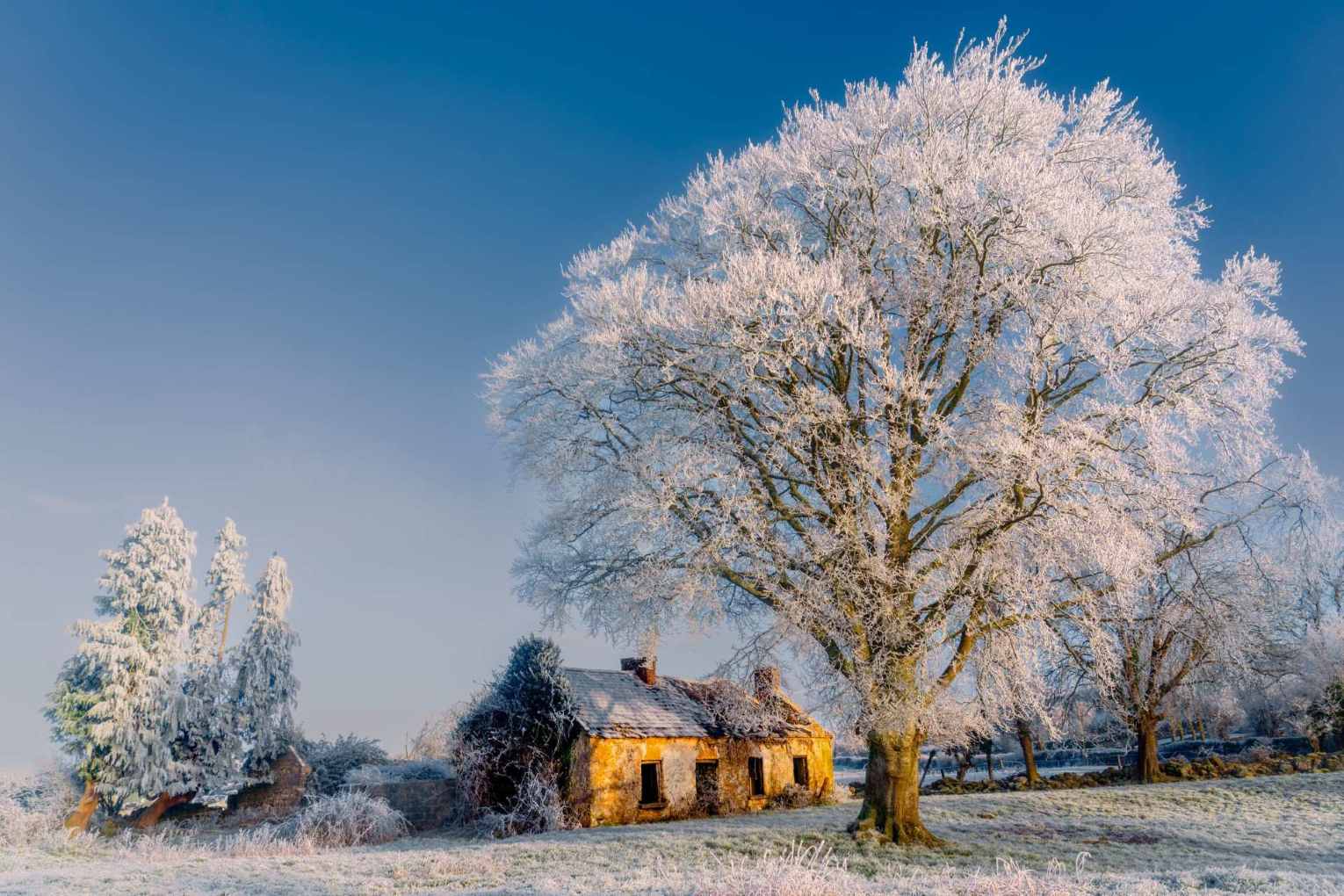 Vibrant Captures | Clare Camera Club at Culturlann Sweeney