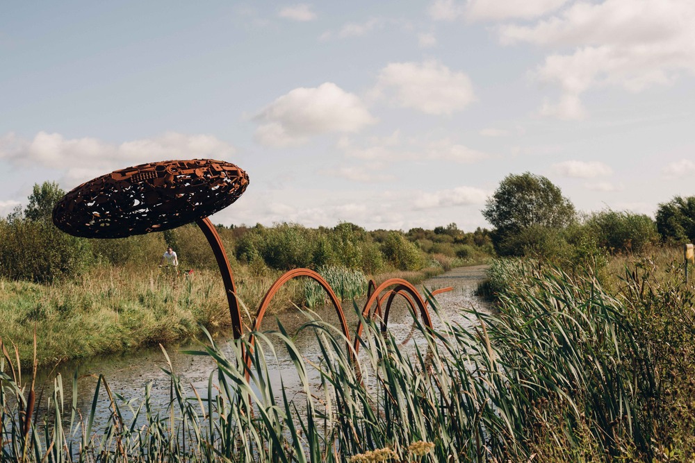 Event | Plein Air Painting Weekend at Lough Boora Sculpture Park