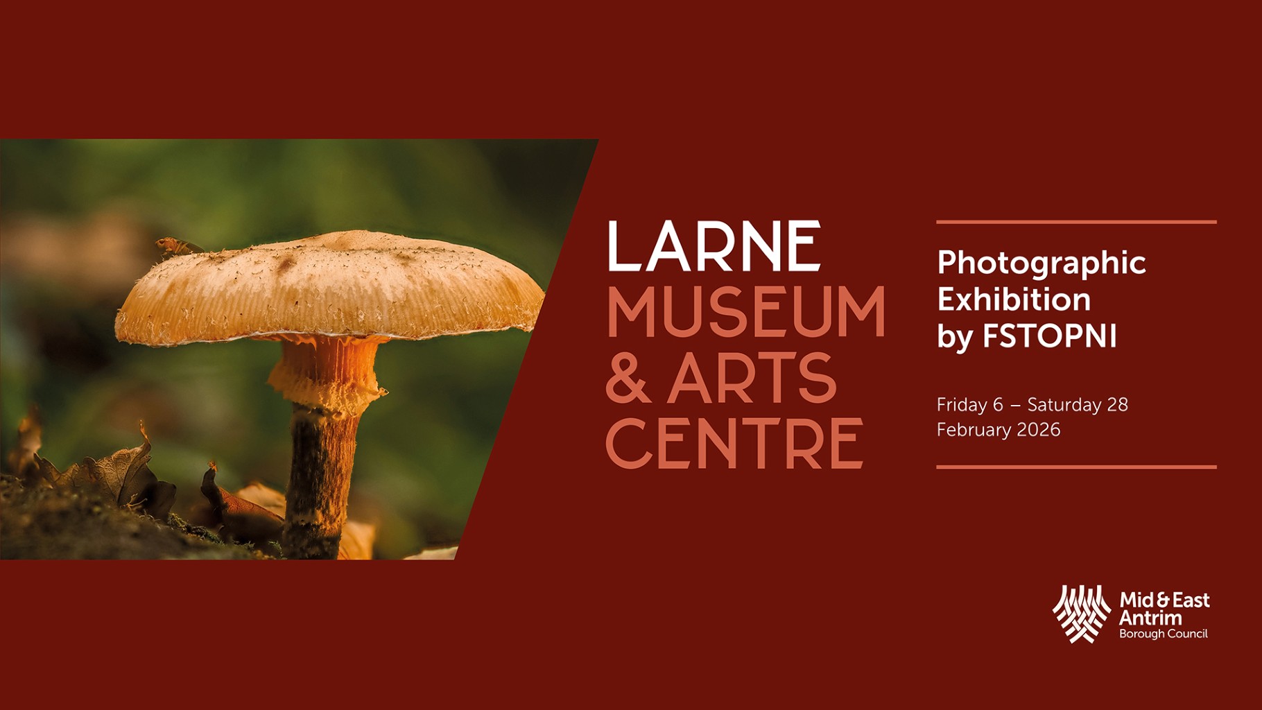 FSTOPNI | Group Exhibition at Larne Museum & Arts Centre