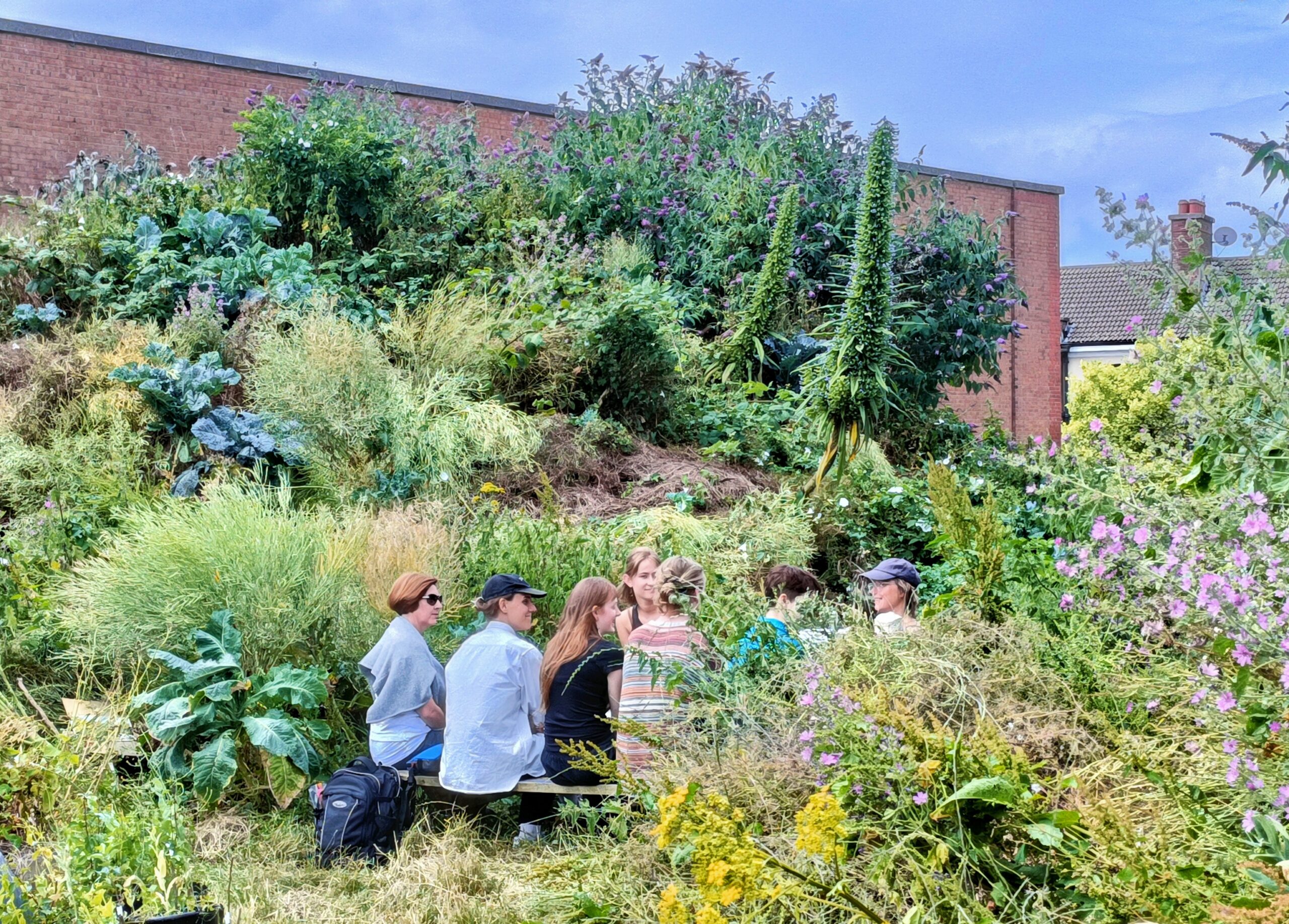 Open Call | FIELD Residency: Hospitality from NCAD