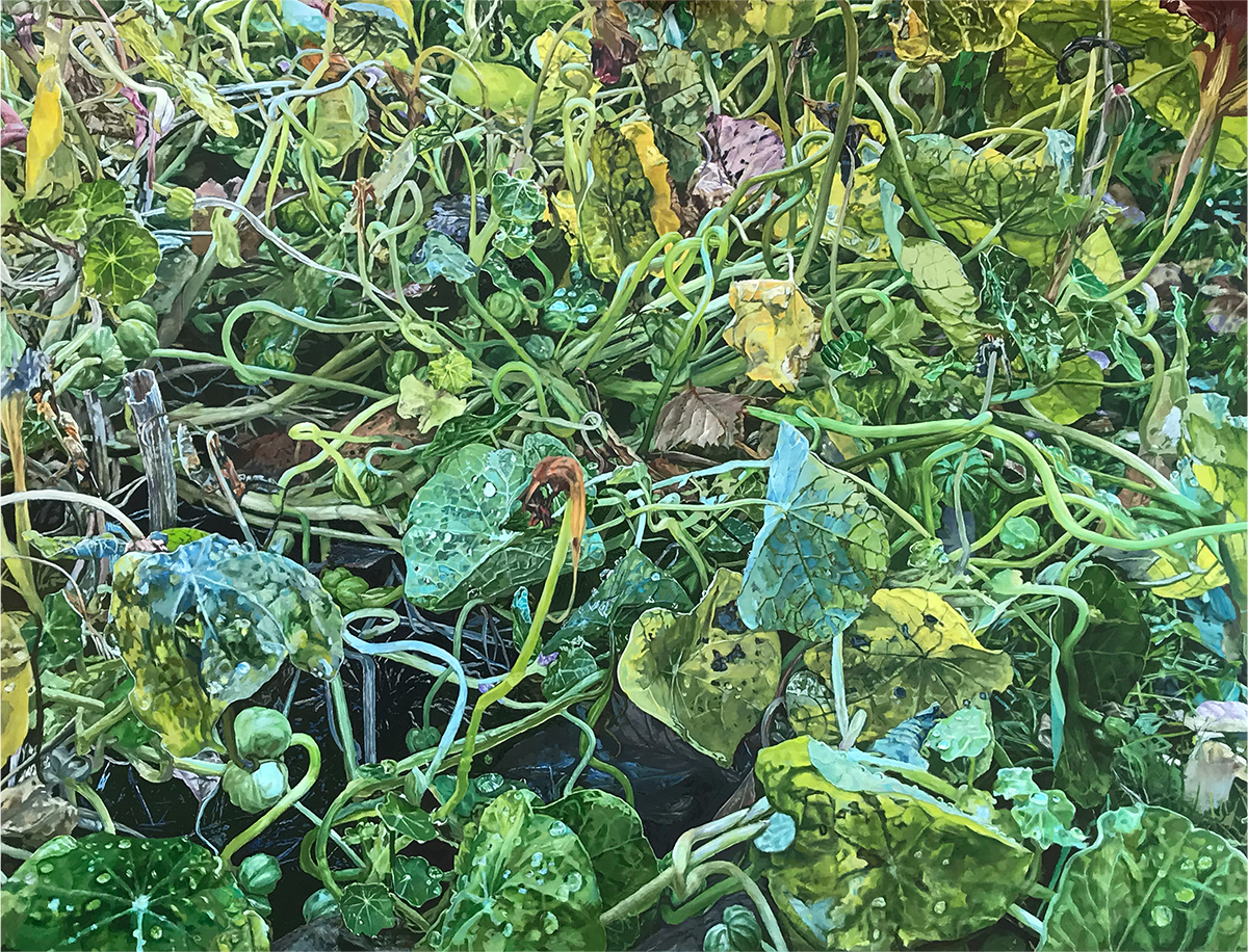 Living Room | Dave Madigan at Signal Arts Centre