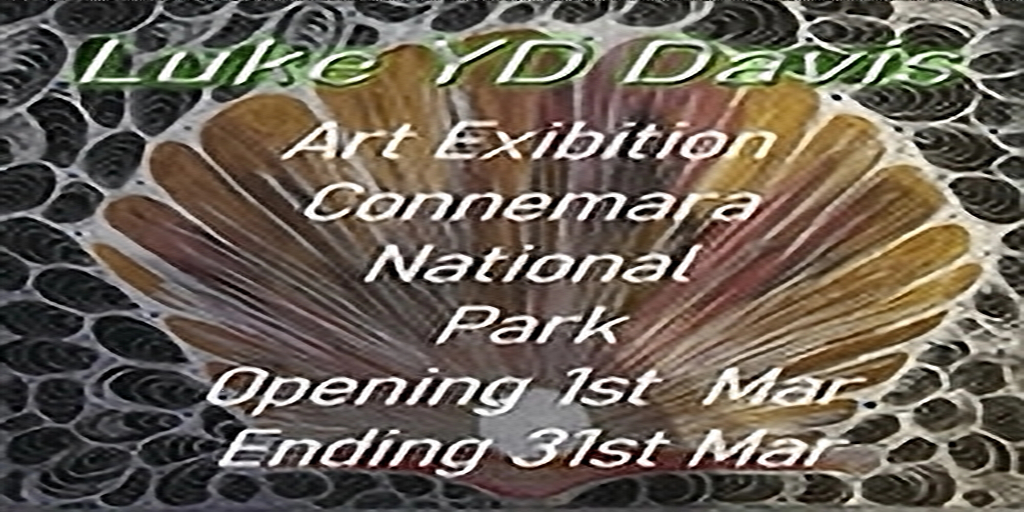 Grá Agus Buíochas | Luke YD Davis at Connemara National Park