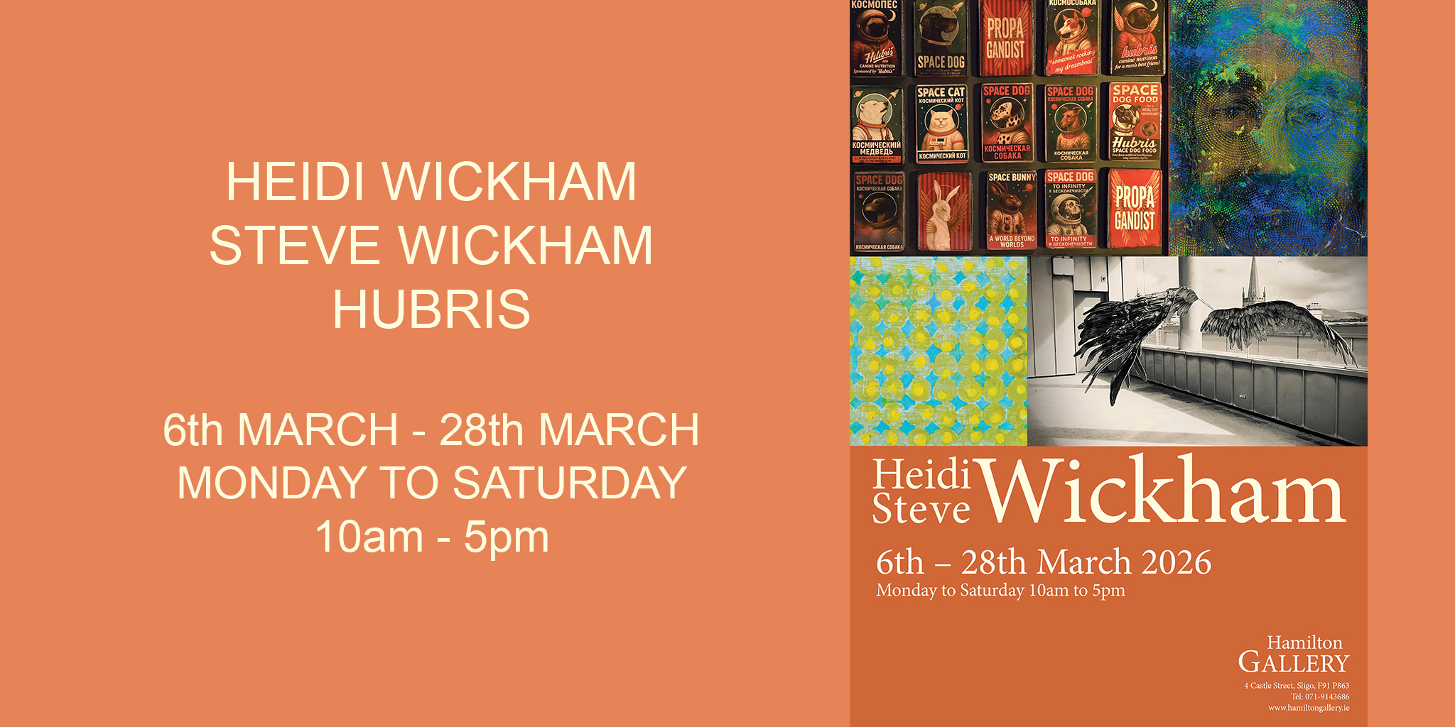 Hubris | Heidi and Steve Wickham at Hamilton Gallery Sligo