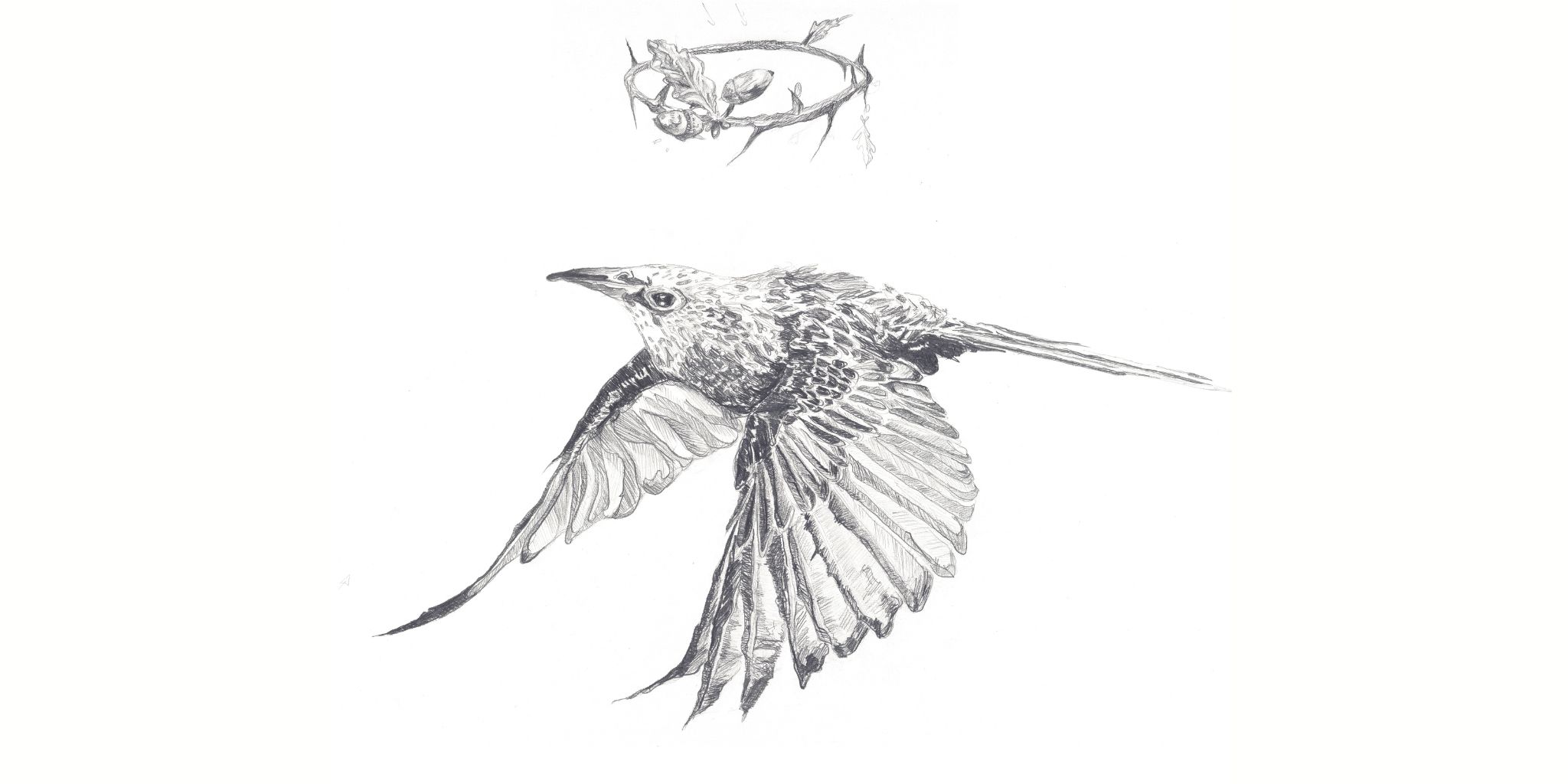 Boy Dancer | Annemarie Ní Churreáin & Niamh McCann at Solstice Arts Centre