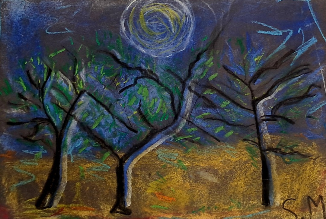 The Wild Trees |  Coláiste na Trocaire, Fainleog Students at Rathkeale Carnegie Library