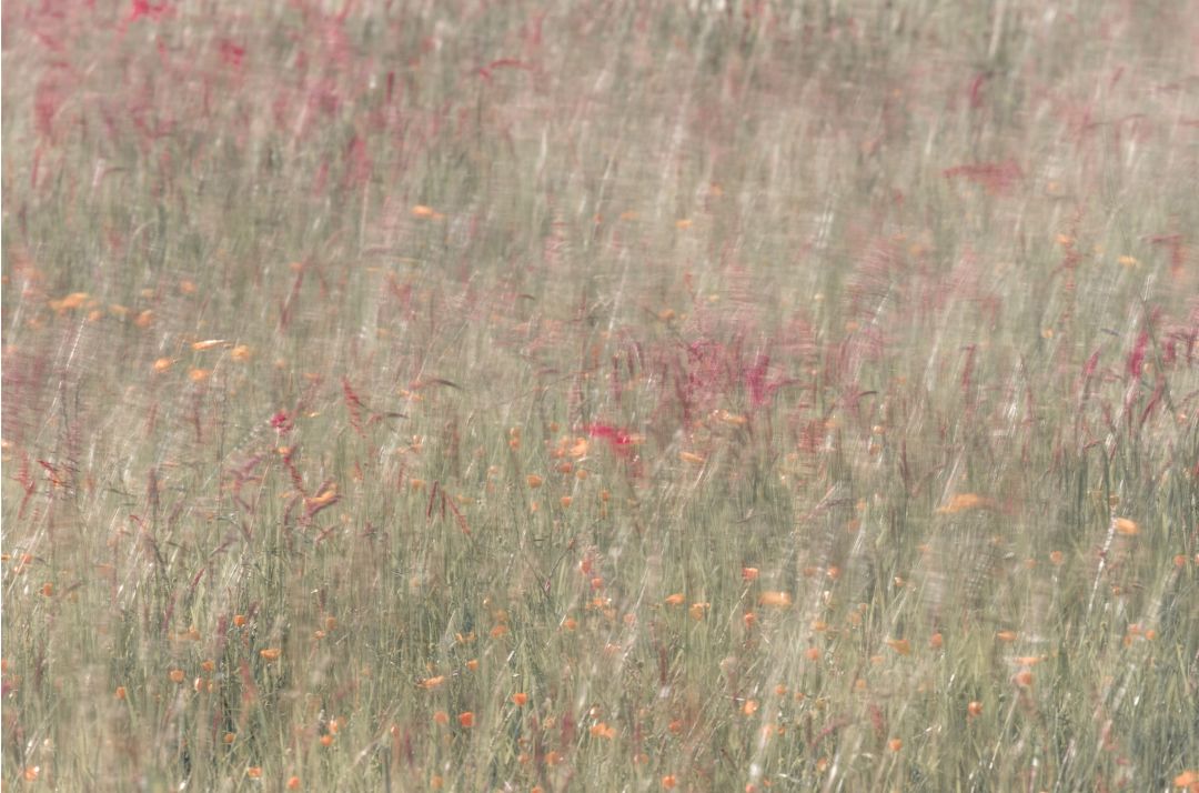 Ethereal | Christopher Quinn at Culturlann Sweeney