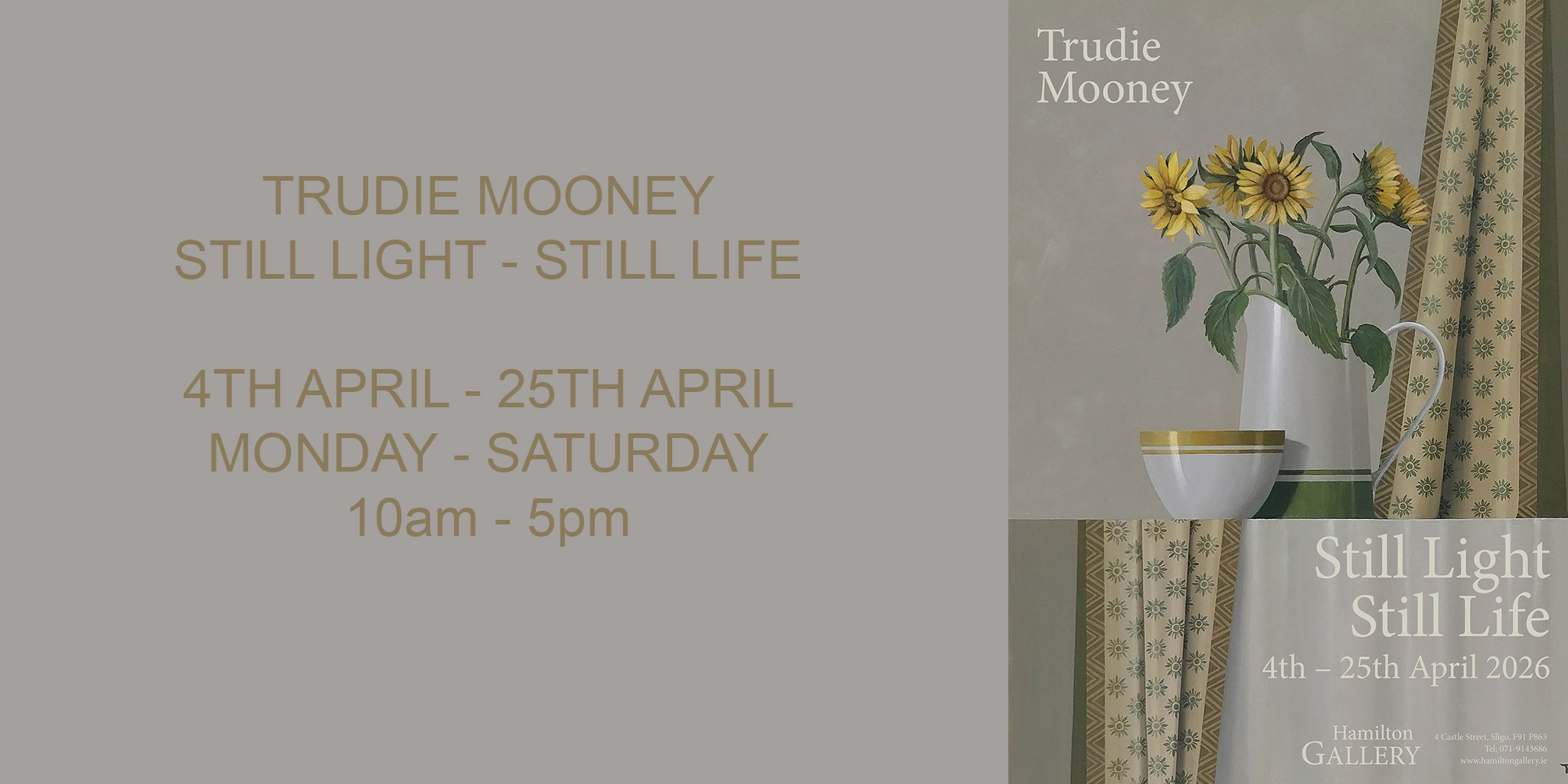 Still Light - Still Life | Trudie Mooney at Hamilton Gallery