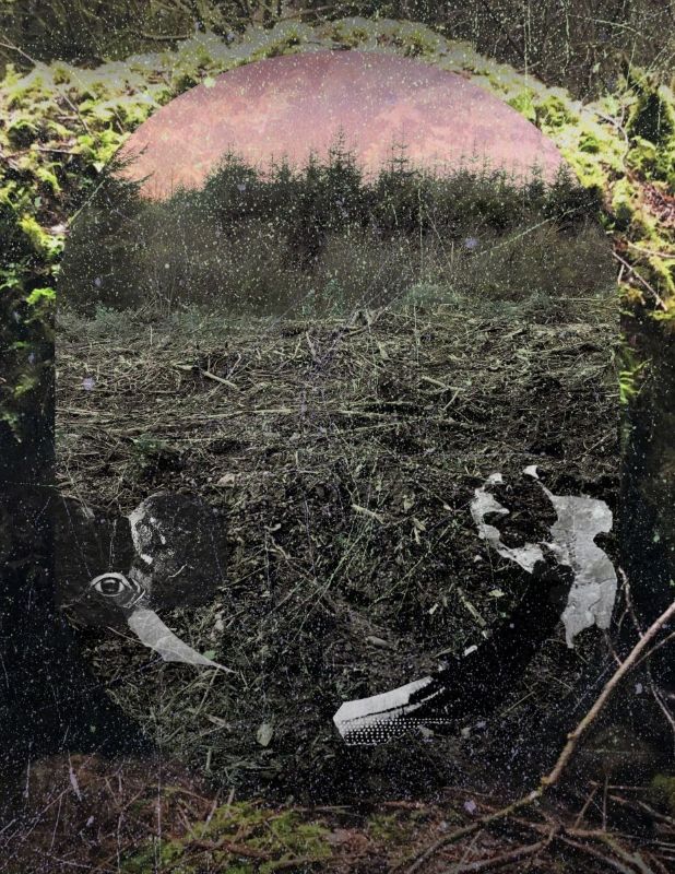 (UN)EARTHED: through air, tied to each other | MFA Graduate Exhibition at Burren College of Art