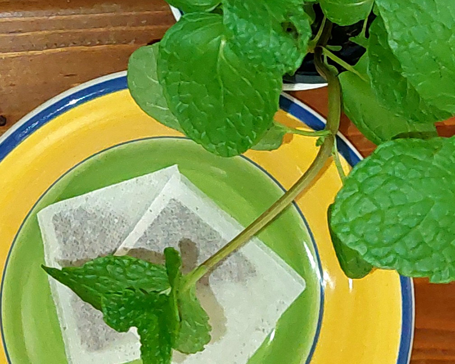 Event | Entanglement and Mint Tea Gathering at Digital Hub