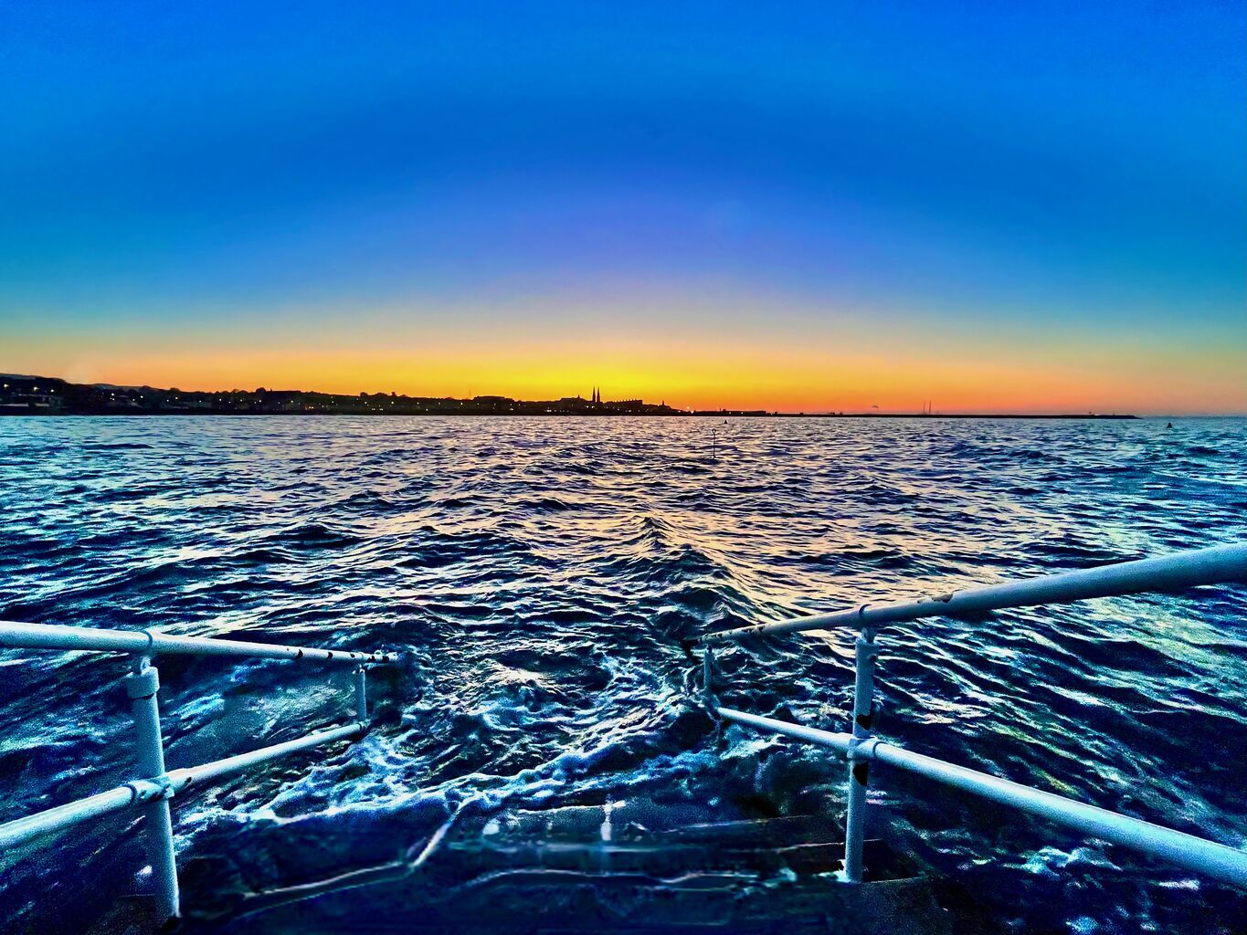 Forest to the Ocean | Mary Moynihan at Smashing Times Visual Art Gallery