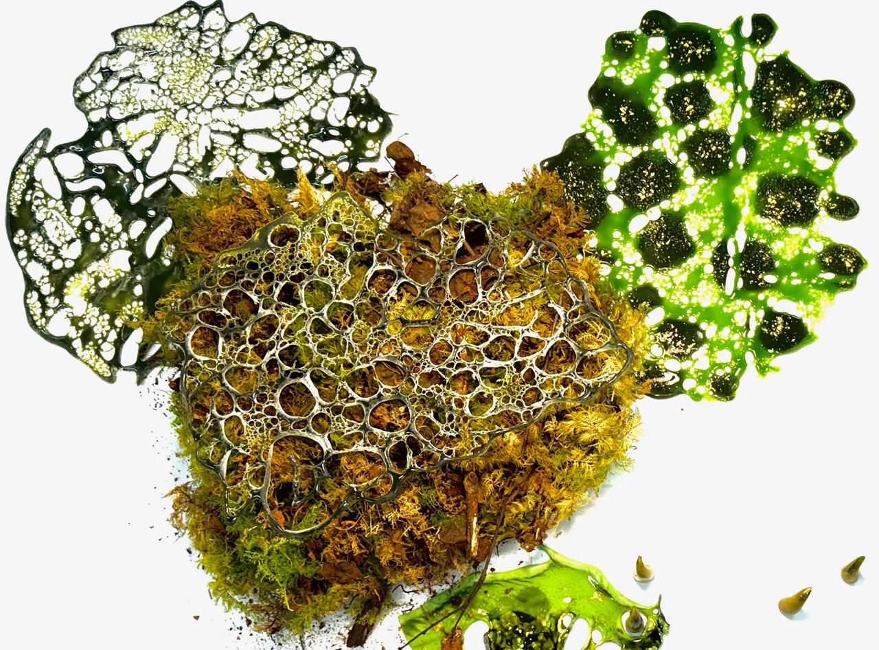 The Long Pause Ecology of Ruins I | Lindsay LeBlanc at Leitrim Sculpture Centre