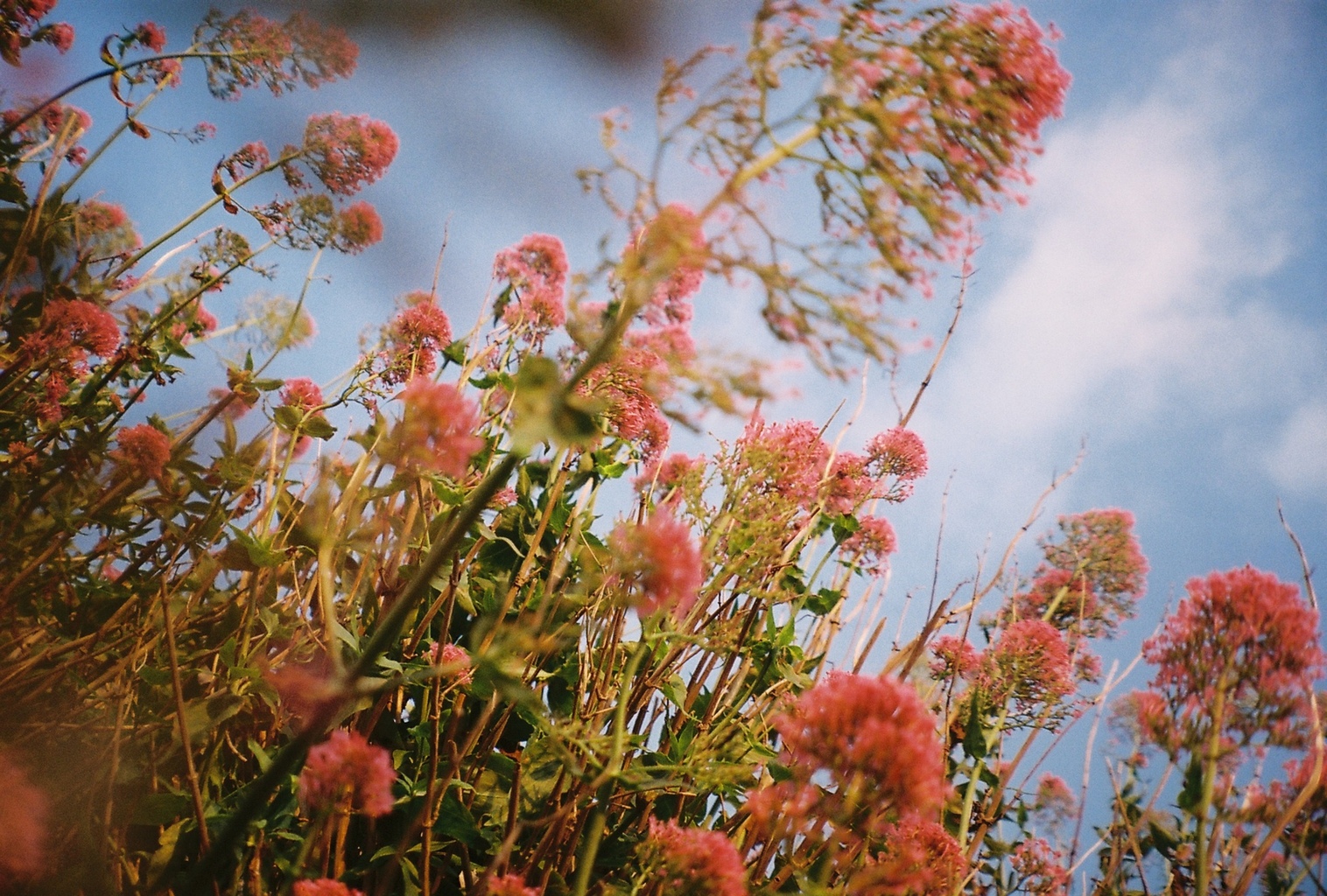 Still Looking | Five Lamps Arts Festival at the International Centre for the Image