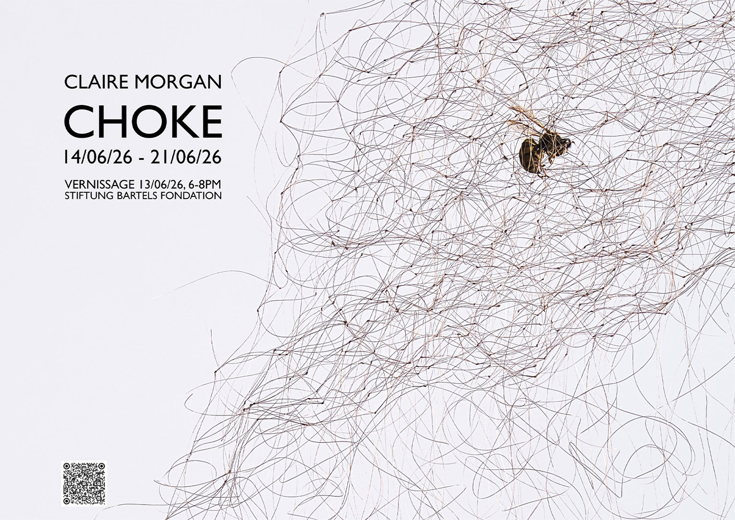 CHOKE | Claire Morgan at Stiftung Bartels Fondation