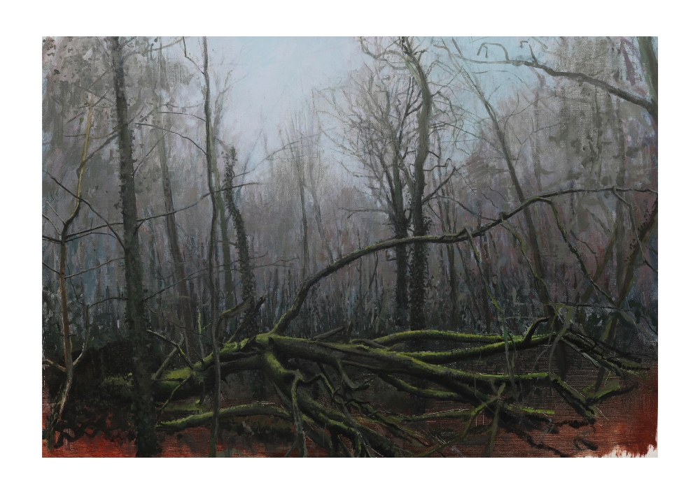 The Nature of Things | Aidan Crotty at Fort Dunree