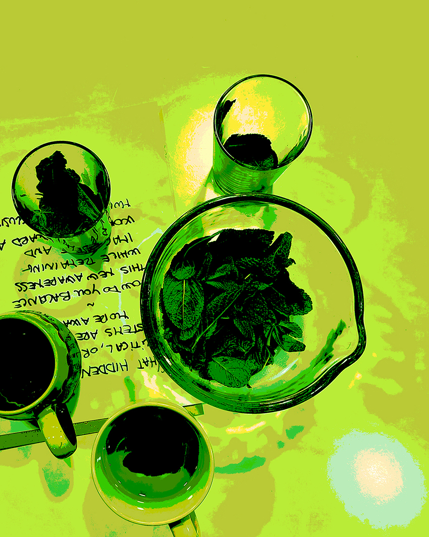 Event | Entanglement and Mint Tea Gathering at Pallas Projects