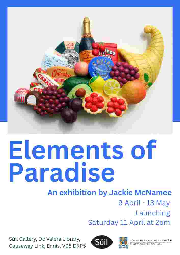Elements of Paradise | Jackie McNamee at Súil Gallery
