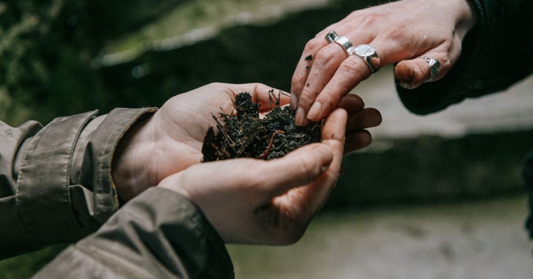 Event | an casadh – Opening Performance at Elizabeth Fort